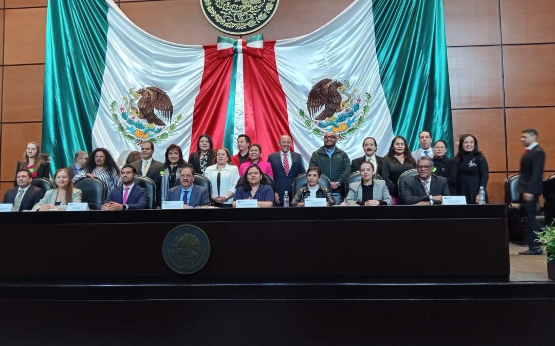 Reconoce PT la especialidad odontológica de la Endodoncia.