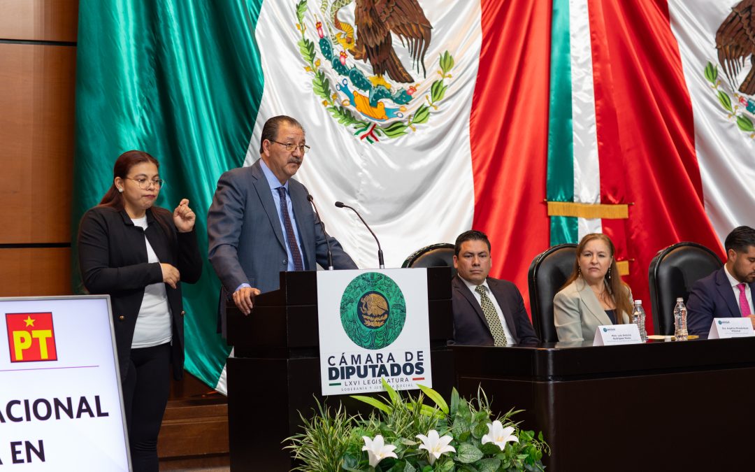 Endodoncia avanza hacia verificación oficial con aval oficial.